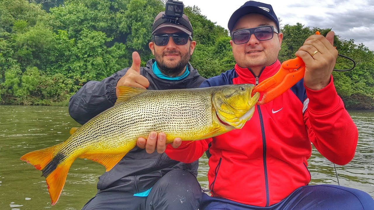 LEVEI UM INSCRITO PARA PESCAR - VEJA COMO FOI -  Pescaria de Dourado com isca SOFT no RIO URUGUAI