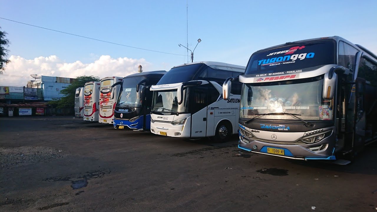 Terminal bus bobotsari ❗ada pendatang baru,semoga di buru