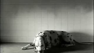 November 1993 - Humorous True Value Hardware Commercial