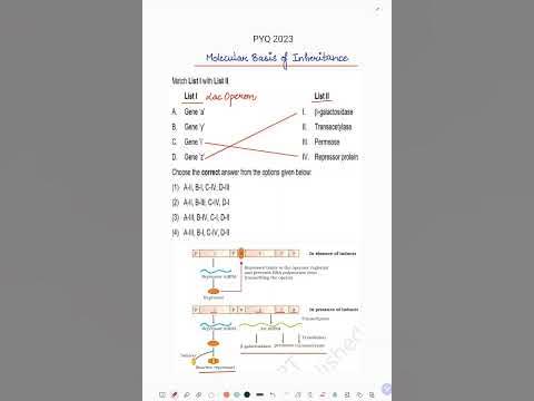 NEET PYQ 2023 Molecular basis of inheritance ques #biology #neet # ...