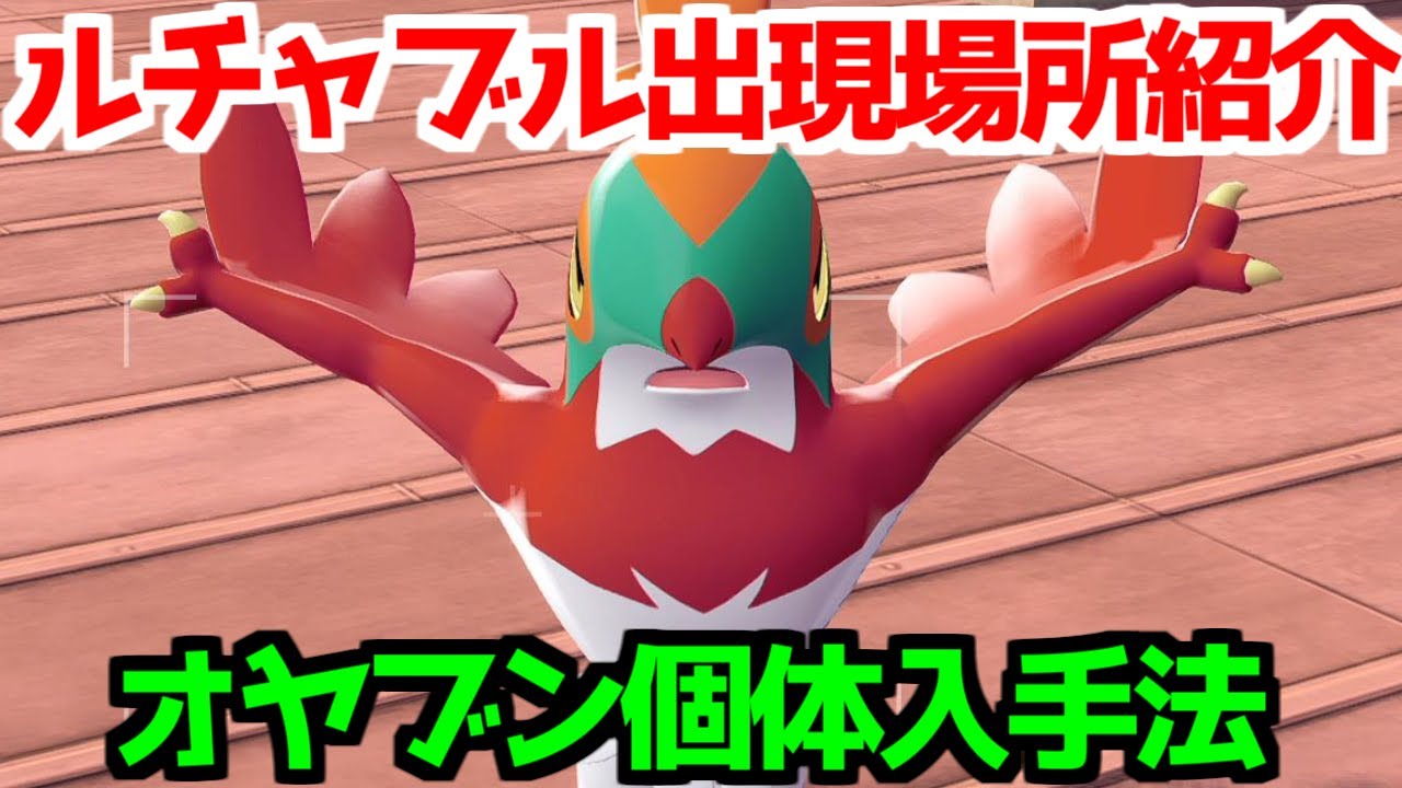 【ポケモンZA】ルチャブル オヤブン個体 出現場所 入手方法  攻略 【Pokémon LEGENDS ジガルデ ポケモン レジェンズ ジガルデ】
