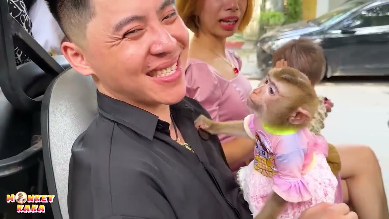 Monkey Kaka, dad and mom had a great time at the wedding party.