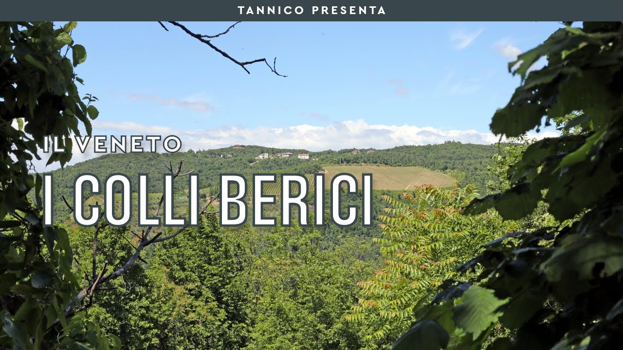 La risposta veneta ai Supertuscan: i Colli Berici | Tannico Flying School
