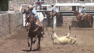 Plan de Carrillo Coleadero de Socios