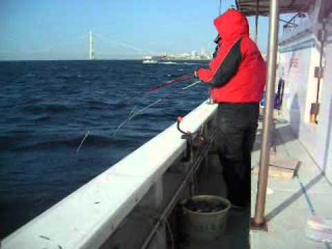 Fishingmax武庫川店 The 船メバル釣り Youtube