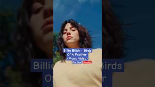 Billie Eilish - Birds Of A Feather (Music Video) (Out now on my YouTube channel)