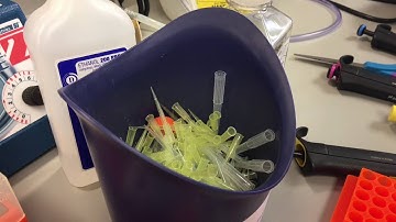 Sanford Burnham Prebys Lab Video - Broll