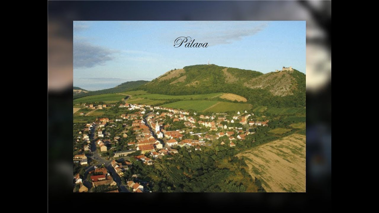 Pálava - Pavlov (Čechomor)