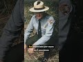 🔥 El hombre que sobrevivió a 7 rayos ⚡