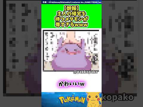 【朗報】主人の帰宅を待つメタモンが尊すぎるwww  #ポケモン #反応集