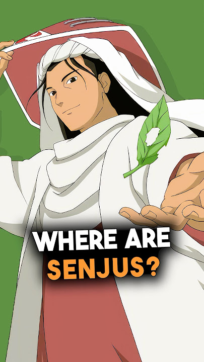 What Happened to the Senju Clan?