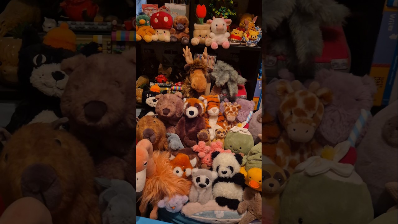 Amy's Animals