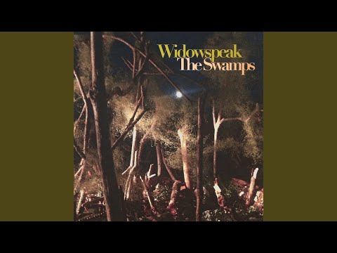 Putar Theme from The Swamps - Widowspeak