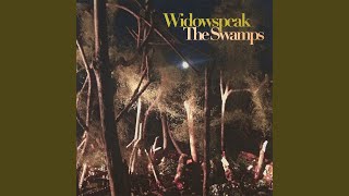 Theme from The Swamps