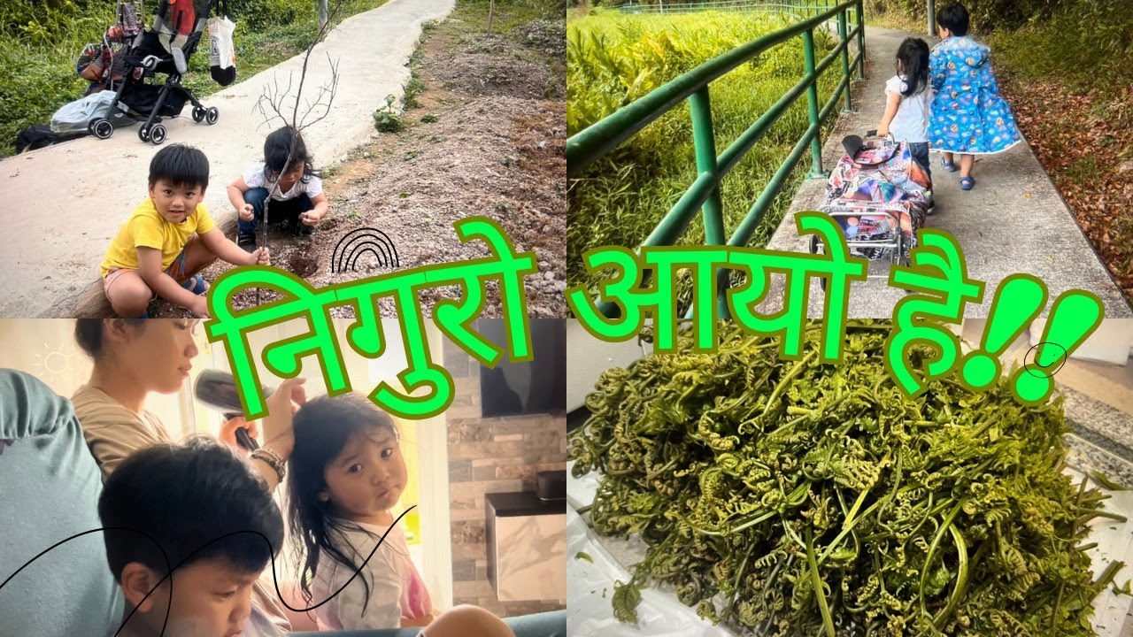 AJA PANI TANNAI NIGURE TIPIYO HAI ........ - YouTube