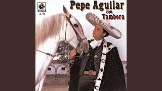 Versión 2 del video