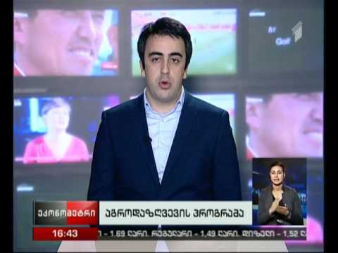 რა უშლის ხელს ფერმერების ჩართულობას აგროდაზღვევის პროგრამაში -  ლევან მაღრაძე \"ეკონომეტრში“