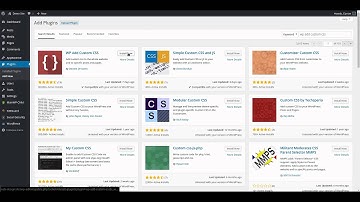 How to use WP Add Custom CSS