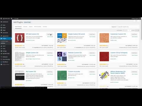 How to use WP Add Custom CSS