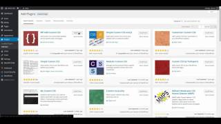 How to use WP Add Custom CSS