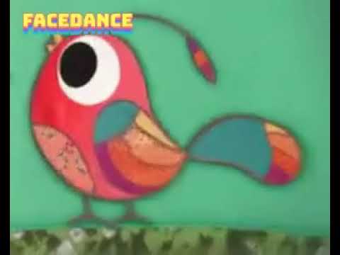 Bird Sings Yankee Doodle