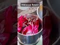 how to stop hairfall at home 😔 | hair mask for Stop hairfall