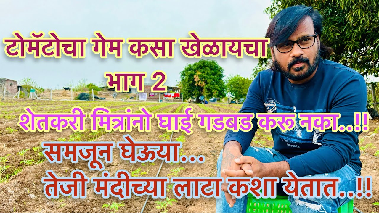 टोमॅटोचा गेम कसा खेळायचा भाग 2