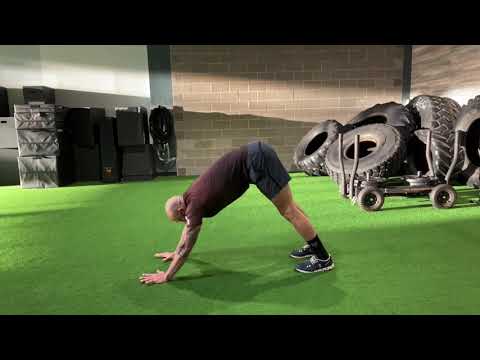 Down Dog to Plank