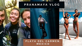 Pranamaya Freediving Vlog | PLAYA DEL CARMEN || RAPHIE SHIN