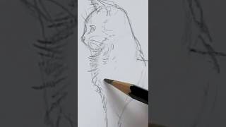 Enjoy the Process (ASMR)