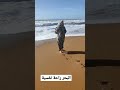 زين العبدي