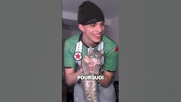 A cat in my apartment??? #twitch #videoclips #videohighlights