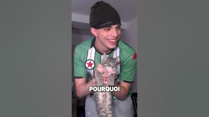 Un chat dans mon appart ??? #twitch #videoclips #videohighlights
