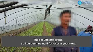 Leafy greens grower testimonial