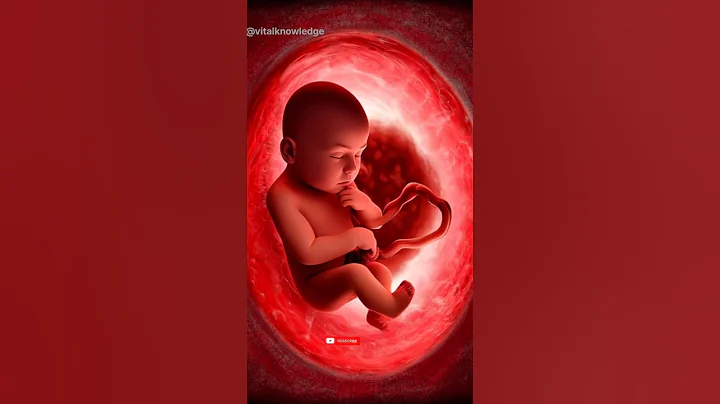 Baby Kicks and Movements in the Womb | Amazing Foetus Journey।Gut Health।