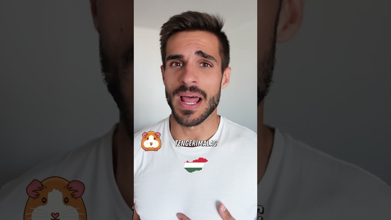 Guinea pig in different languages 