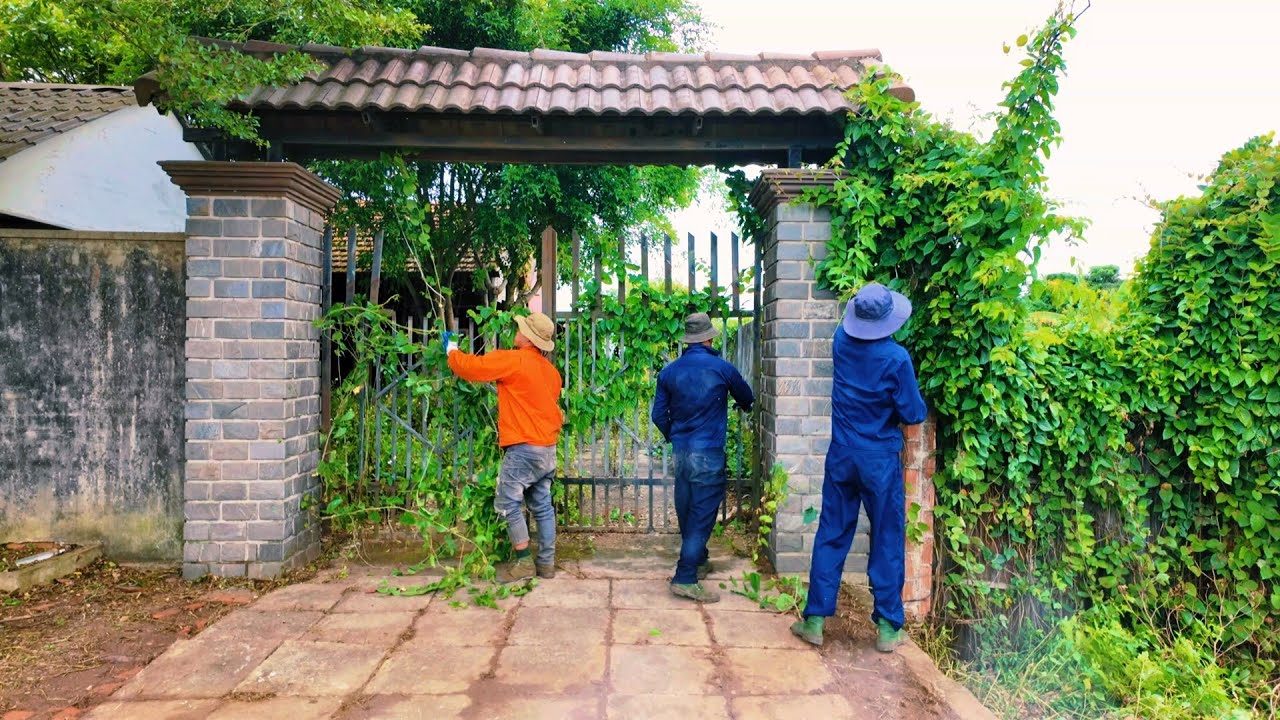 Коллекция видеороликов о том, как безжизненные дома возвращаются к жизни