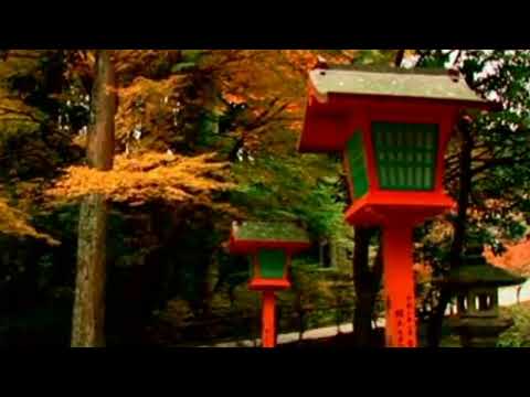 意亂情迷〈華語〉黃清元〈MV版〉