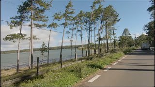 Driving in Mauritius from Nouvelle France to Plaine Sophie Nature Walk ASMR wind white noise