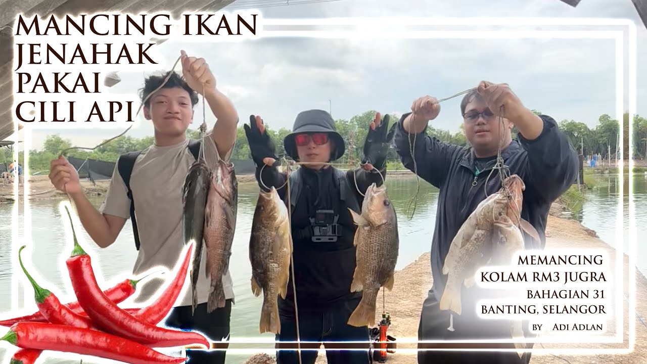 KOLAM JUGRA RM3 BGHN 31 - UMPAN CILI API MERAH 