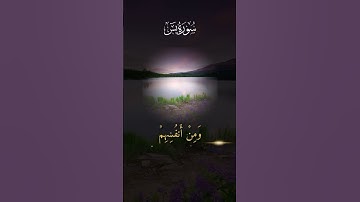 آيات من الذكر الحكيم