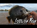 My FIRST TIME Fishing Orlando, Florida (Full Day of Fishing)