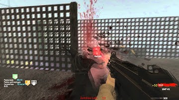 CUSTOM ZOMBIES | DALE