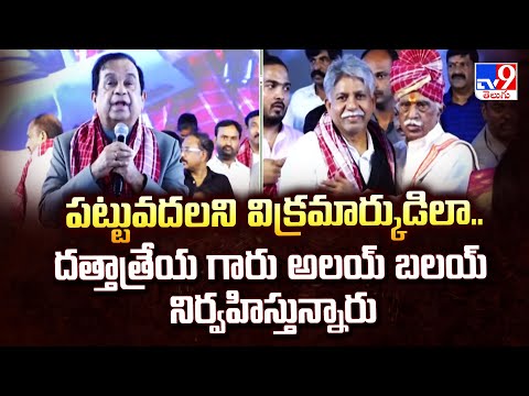 పట్టువదలని విక్రమార్కుడిలా.. దత్తాత్రేయ గారు అలయ్ బలయ్ నిర్వహిస్తున్నారు : Brahmanandam - TV9 - TV9