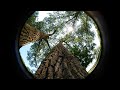 Lunch Break At the Lake - GoPro HERO9 Black, CALIDAKA 180º Fisheye Lens