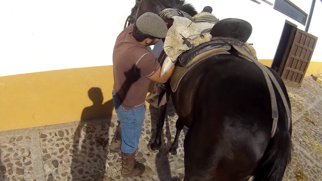 FINCA ''EL CORTIJILLO'' LOS VAQUEROS MUEVEN LAS CORRIDAS DE TOROS