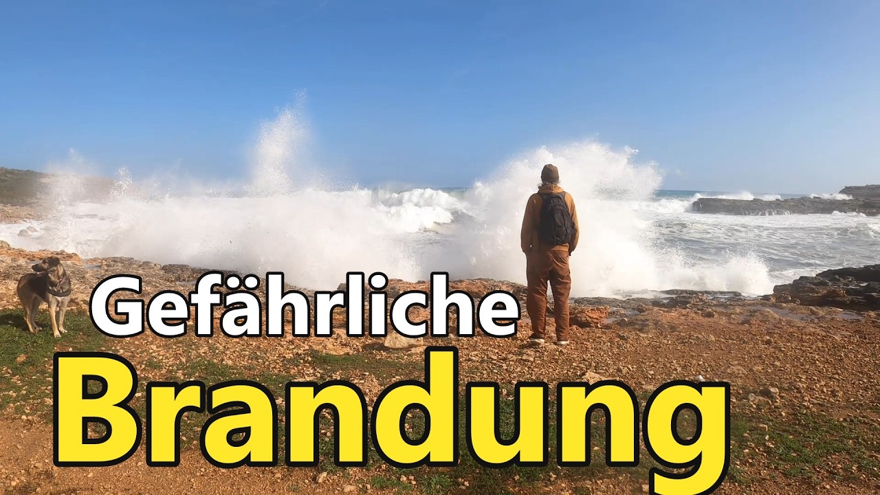 Gegend Felanitx und Portocolom  - Caddy Minicamper Vanlife Vlog 17