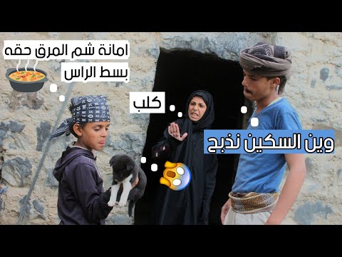طلب من زوجته تطبخ الكلب والا بايطلقها يوميات أبو صالح الحلقة 15