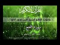 الشيخ الزين محمد أحمد سورة الفتح 