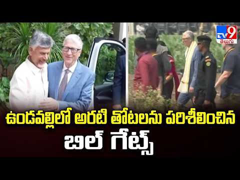 Bill Gates AP Tour : ఉండవల్లిలో అరటి తోటలను పరిశీలించిన బిల్‌ గేట్స్ - TV9 - TV9